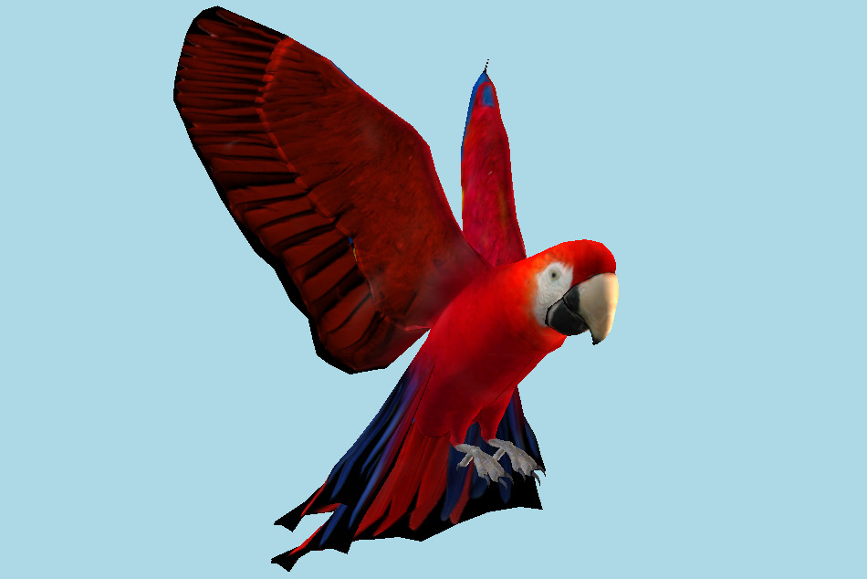 鹦鹉macaw 3d模型