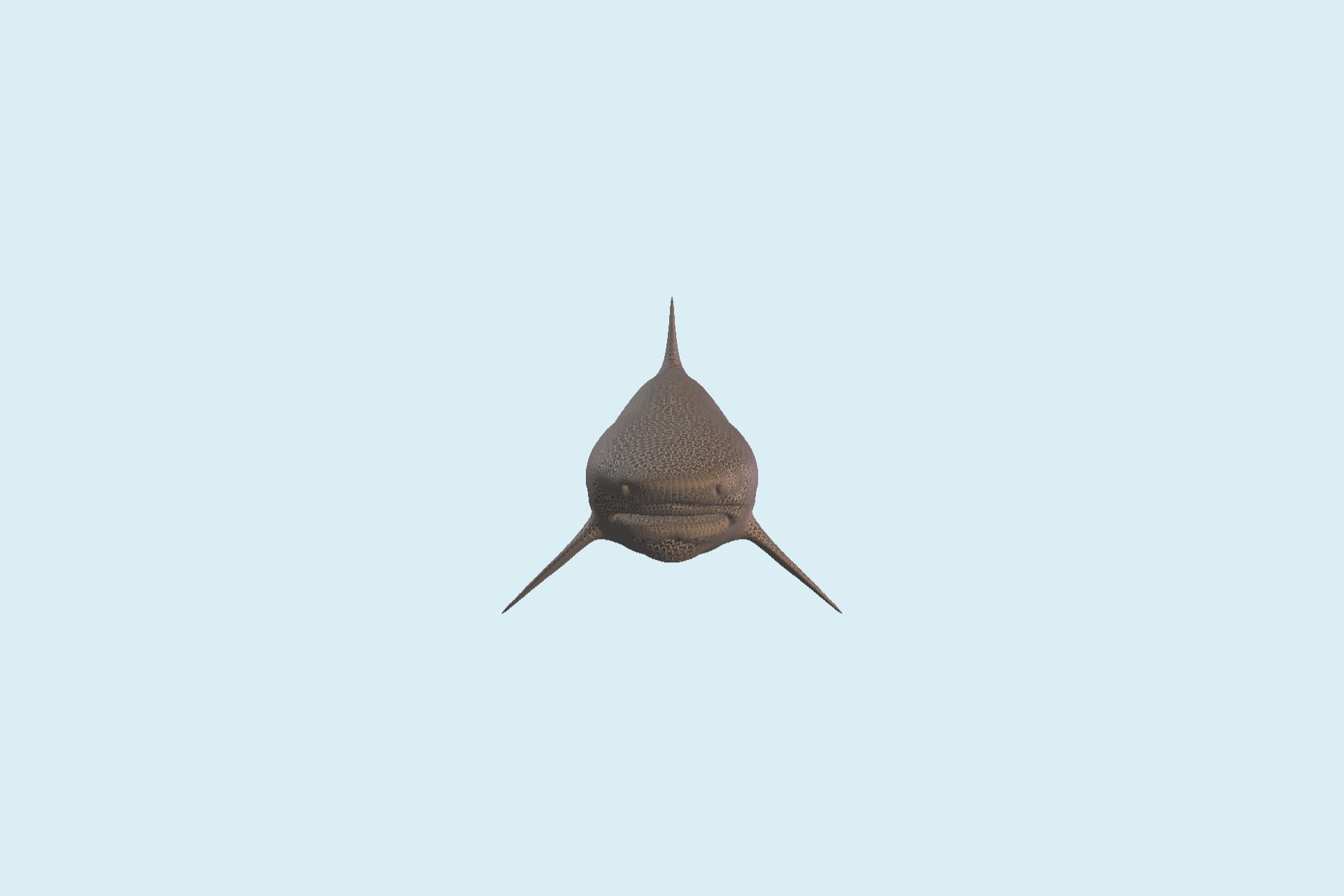 牛鯊（Carcharhinus leucas，贊比西鯊魚(yú)）