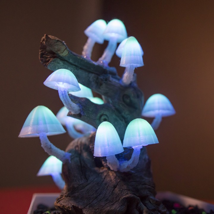 发光蘑菇灯的蘑菇盖