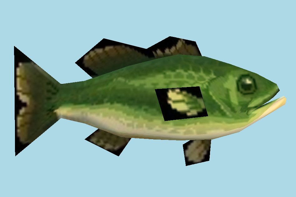 魚