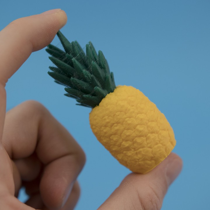 菠萝模型
