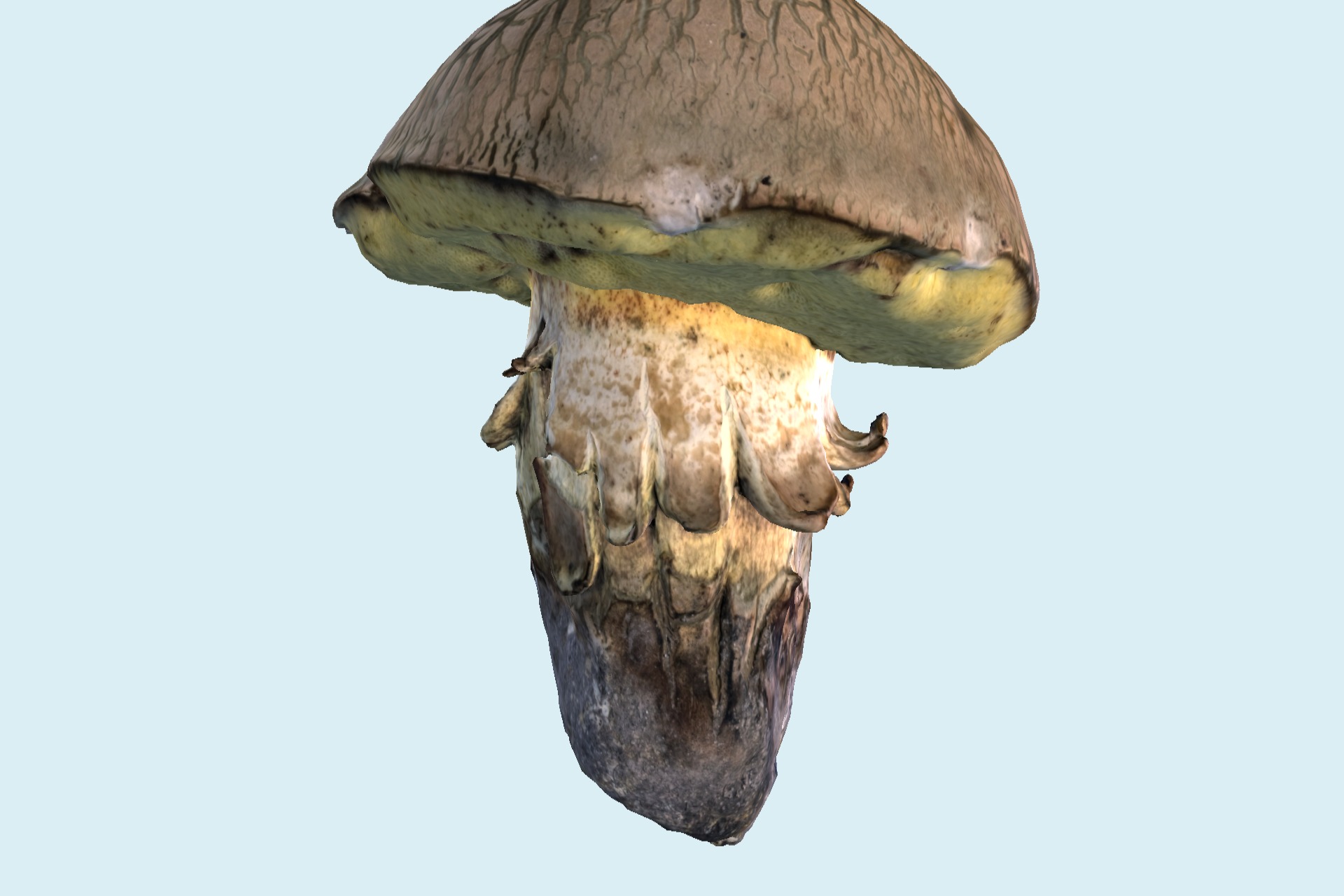 蘑菇15