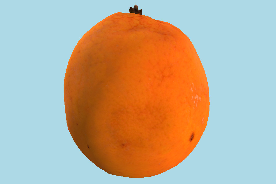 食物杏子