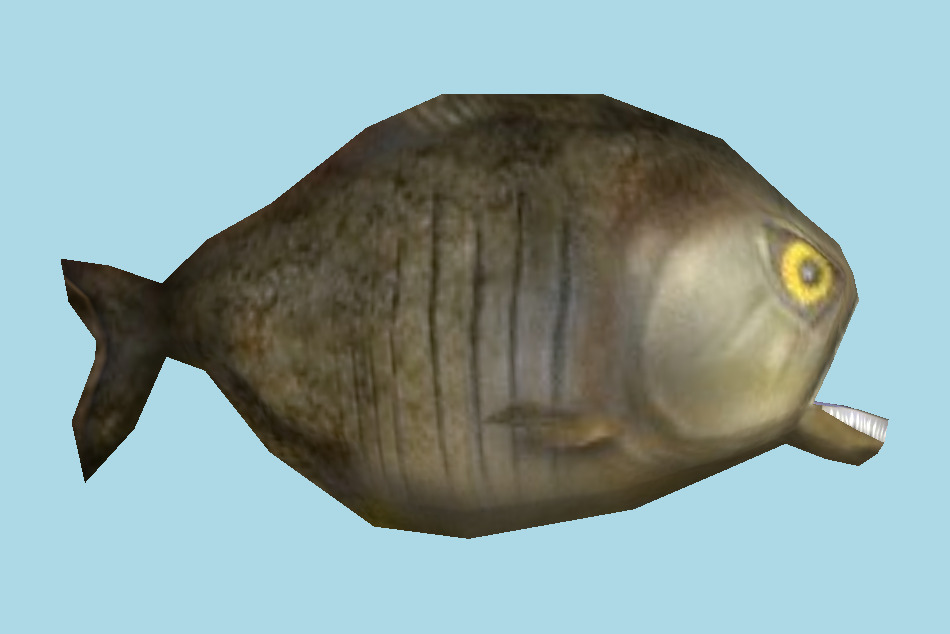 魚