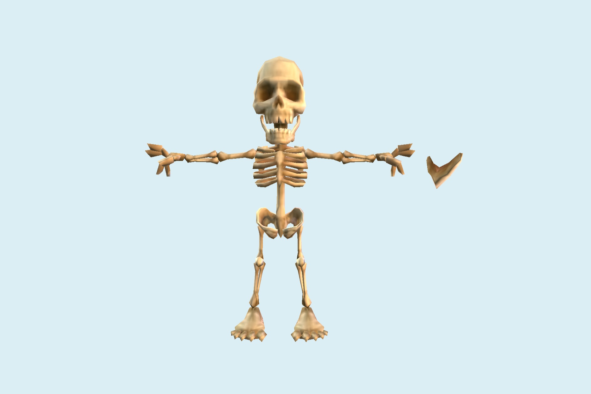 骨骼骷髅