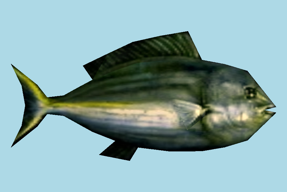 魚(yú)