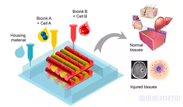 了解生物3D打印，從這篇文章開始