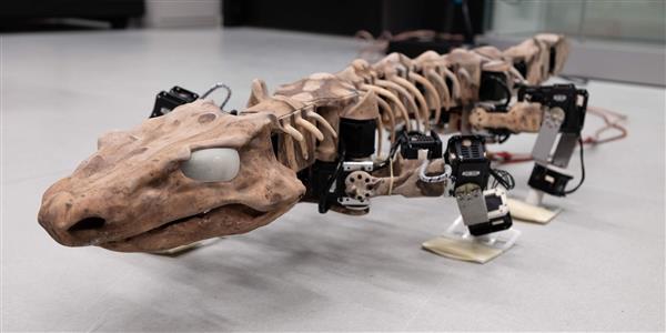 3D打印机器人重现了2.9亿年前动物的步态