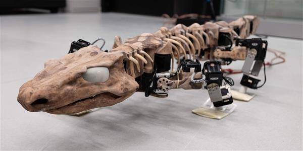 3D打印機(jī)器人重現(xiàn)了2.9億年前動物的步態(tài)