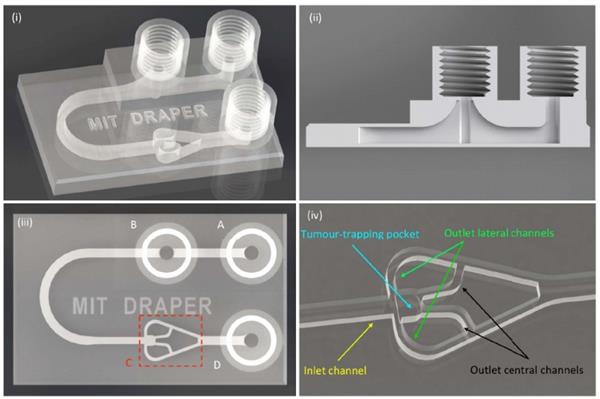 麻省理工开发3D打印微流体设备，用于个性化癌症治疗