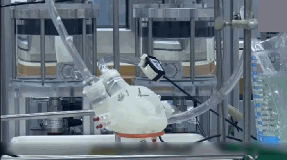 基于超聲數(shù)據(jù)的3D打印技術(shù)在心臟領(lǐng)域的應(yīng)用進(jìn)展