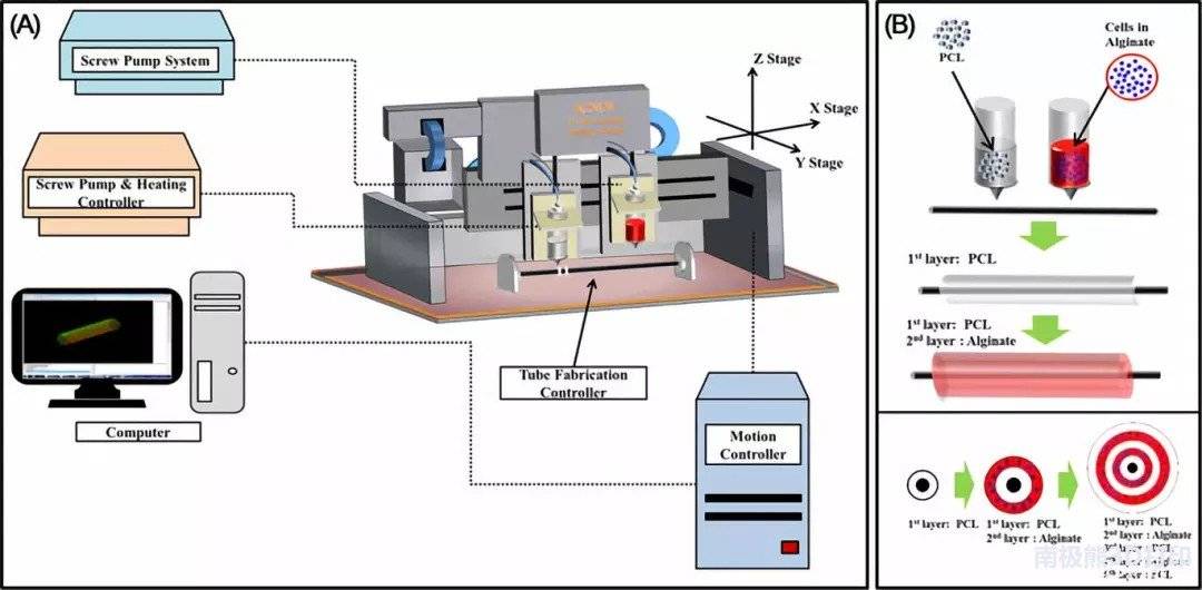 韓國研究人員用上皮細(xì)胞和軟骨細(xì)胞3D打印氣管