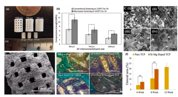 深度解析：3D打印骨組織工程支架研究