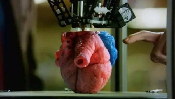 3D打印在心脏模型中的有效性