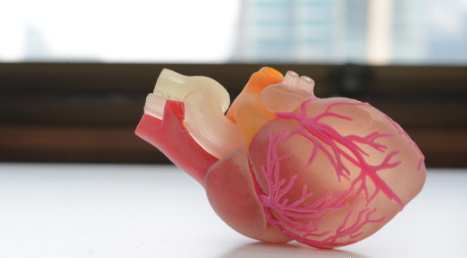 基于超声数据的3D打印技术在心脏领域的应用进展
