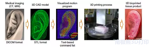 了解生物3D打印，從這篇文章開始