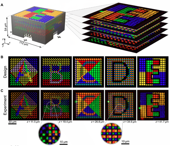 科学家将微流体系统集成到DLW 3D打印中，用于多材料纳米打印